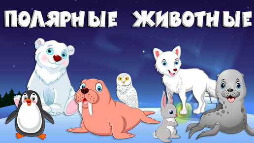 Полярные животные | Учим животных | Развивающие мультики для детей ...