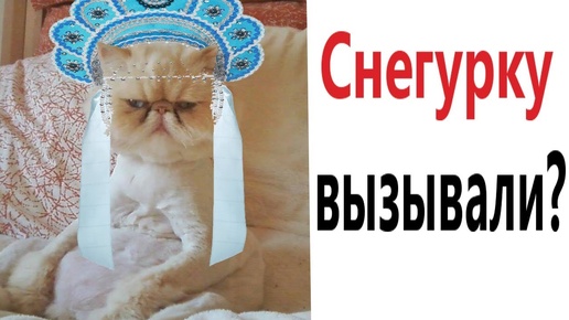 ЛУЧШИЕ ПРИКОЛЫ. Я РЖАЛ ДО СЛЕЗ 