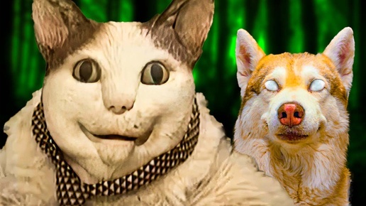Обиженный кот мем