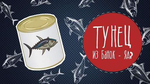 Правда ли, что тунец в банке ядовит? | Сергей Малозёмов | Дзен