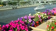 Арка из цветов на улице. Мосты украшенные цветами москва. Украшение моста. Мосты украшенные цветами москва. Арка дендроидов.