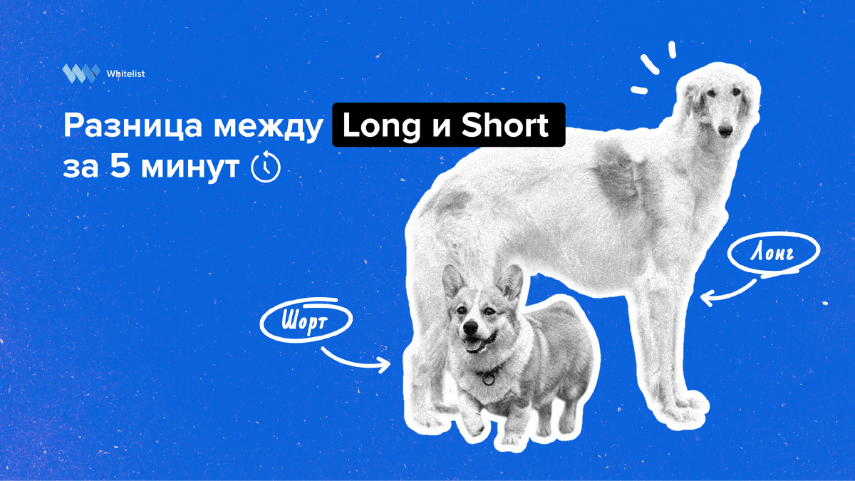 Зарабатывай на росте и падении: разница между Long и Short за 5 минут